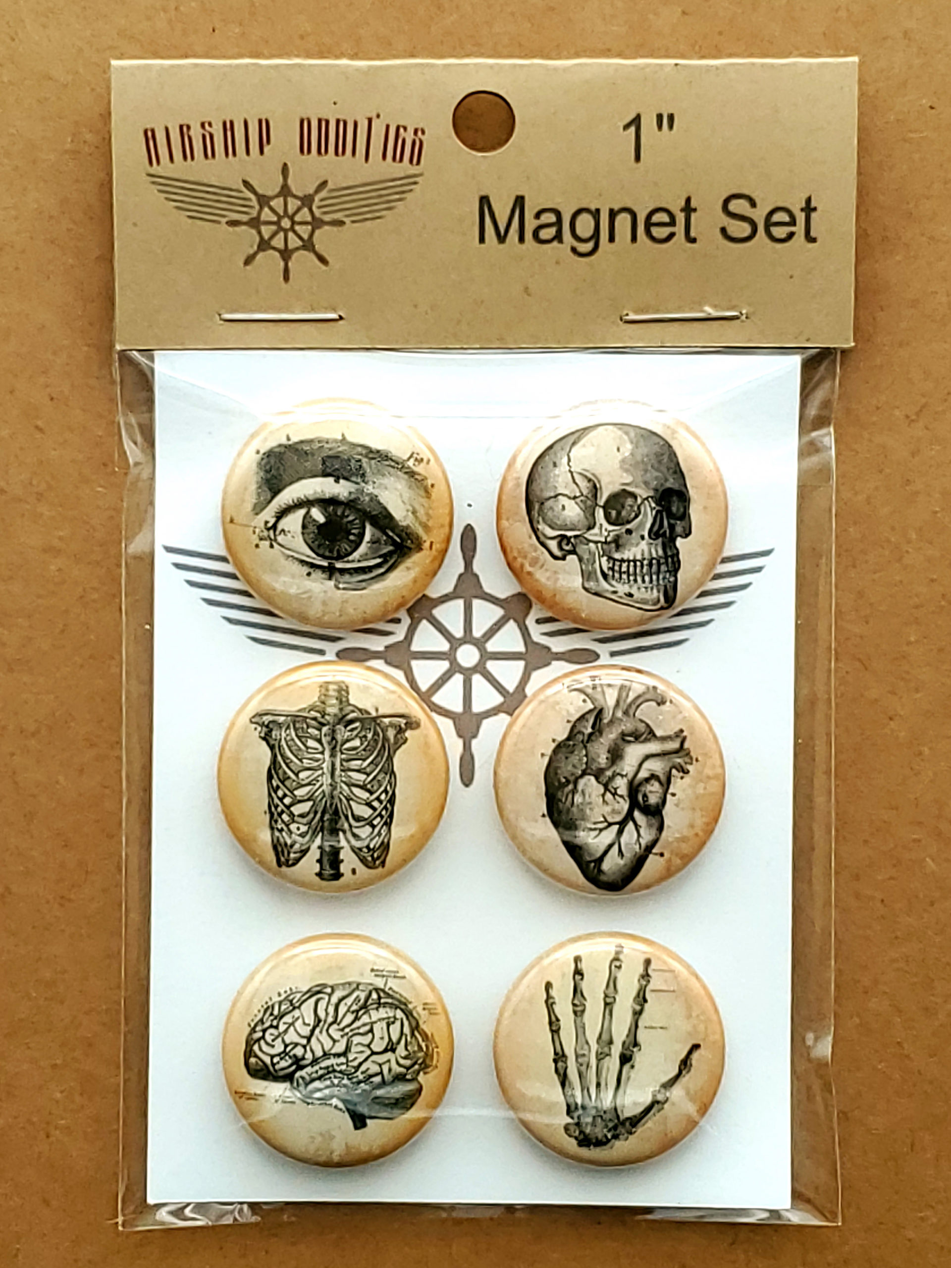 Science Fabric Covered Button Magnets, Set of 5, Laboratory